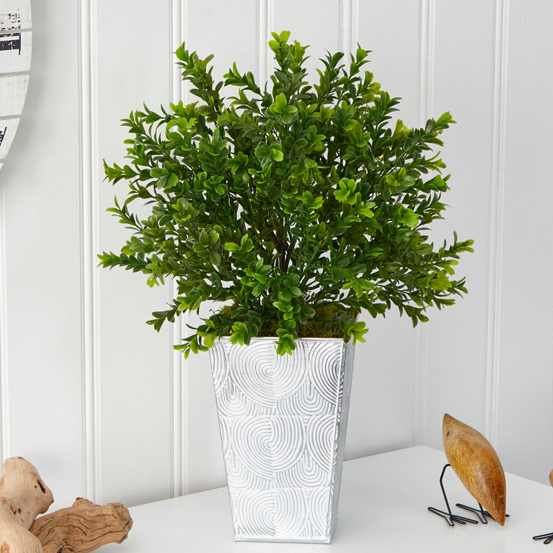 Bungalow Rose 11.25" Artificial Boxwood Plant in Planter & Reviews